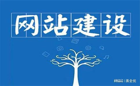 网站建设步骤大全看完所有都懂了！开云 开云体育APP(图2)