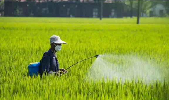 国内农药龙头开云体育 开云官网颖泰生物：行业呈寡头垄断格局海外订单形成内流(图14)