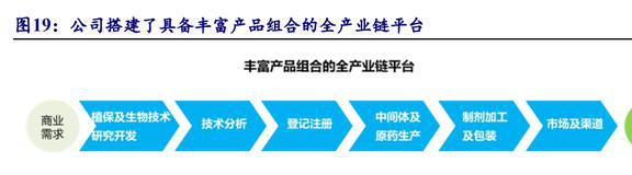国内农药龙头开云体育 开云官网颖泰生物：行业呈寡头垄断格局海外订单形成内流(图29)
