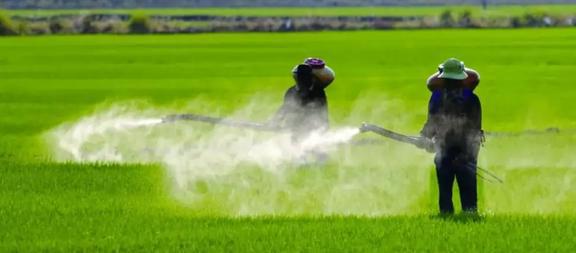 国内农药龙头开云体育 开云官网颖泰生物：行业呈寡头垄断格局海外订单形成内流(图28)