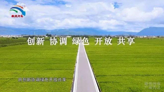 微视百科：河南开云 开云体育平台省推进乡村与振兴农业服务中心沈丘分馆微视百科(图2)