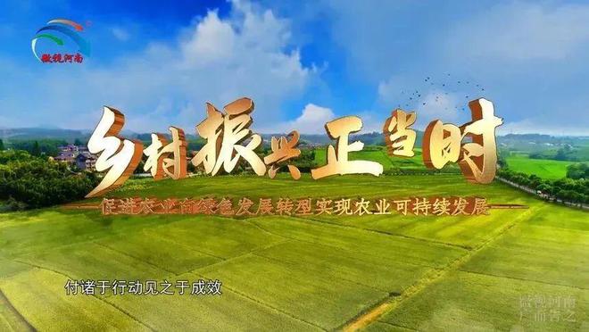 微视百科：河南开云 开云体育平台省推进乡村与振兴农业服务中心沈丘分馆微视百科(图1)
