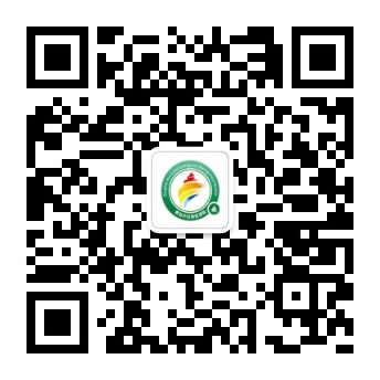 开云 开云体育青岛市应急管理局公布应急管理领域举报途径(图3)