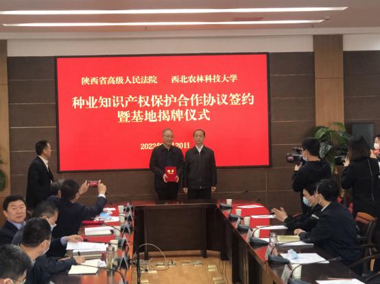 开云 开云体育官网西农5教授受聘陕西省首批种业知识产权审判技术咨询专家(图3)