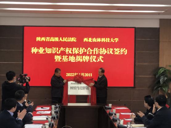 开云 开云体育官网西农5教授受聘陕西省首批种业知识产权审判技术咨询专家(图1)