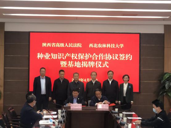 开云 开云体育官网西农5教授受聘陕西省首批种业知识产权审判技术咨询专家(图2)