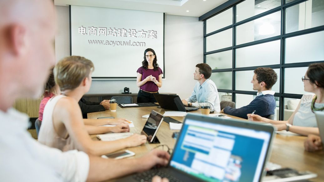 开云 开云体育平台电商网站建设方案(图1)