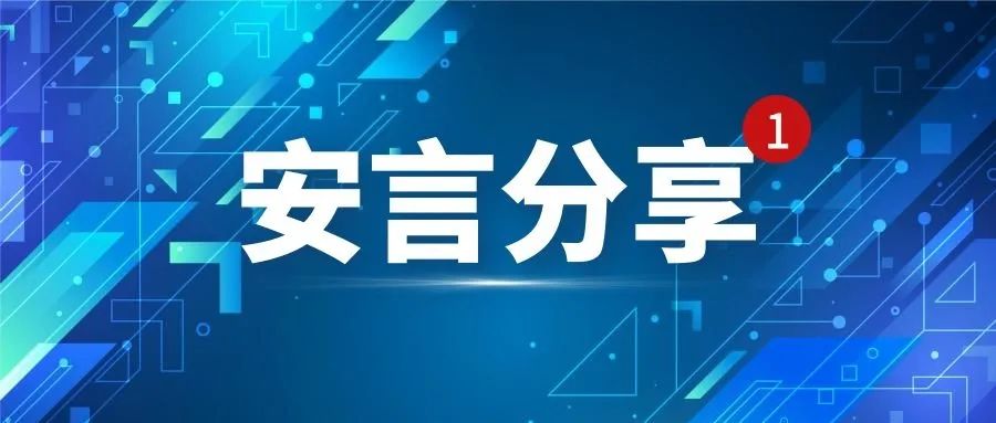 安言咨询 IT安全︱TISAX 风险审计︱27001咨询权威信息安全管理机构开云 开云体育(图2)