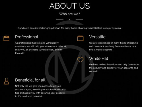 开云 开云体育官网苦学黑客技术（黑客技术自学）(图1)