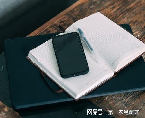 网站建设开云体育 开云官网需要多少钱？(图1)