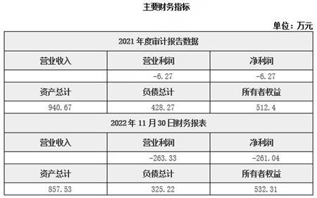 汽车燃气技术咨询服务河北汽车燃气技术咨询服务公司51%股权转让21BJ-0111开云体育 开云平台(图2)