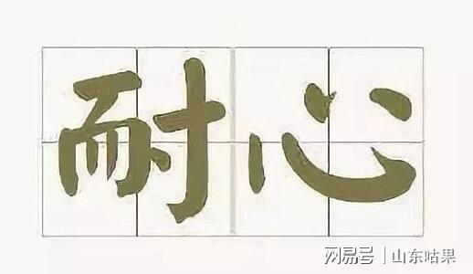 网站建设注意事项开云体育 开云平台(图2)