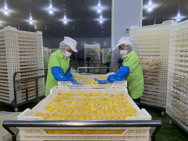 携手建设更加美好的世界——开云 开云体育平台写在习主席提出构建人类命运共同体理念十周年之际(图6)