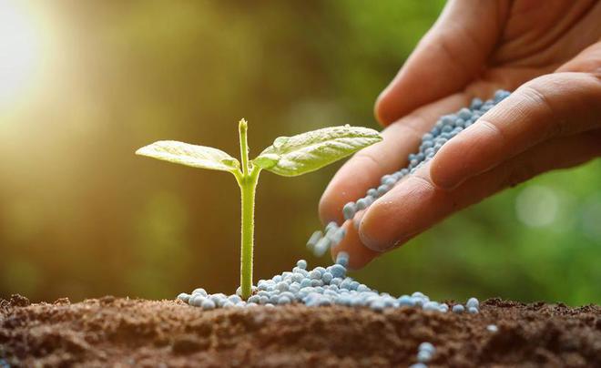 开云体育 kaiyun.com 官网入口北京农业门户网站建设提供农业信息管理平台(图3)