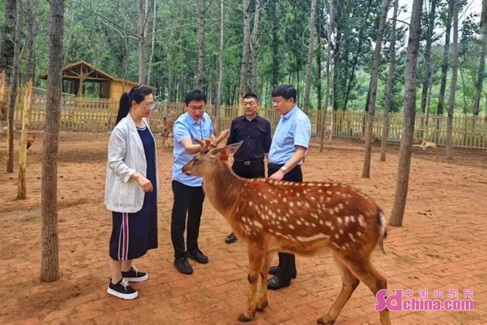 开云 开云体育官网山东蒙阴梅花鹿科技小院挂牌仪式暨青岛农业大学赴蒙阴交流活动举办(图2)