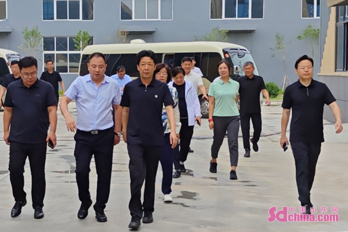 菏泽Kaiyun 开云市定陶区：全力解决项目推进的各种问题(图2)