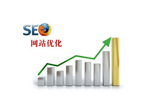 开云APP 开云官网入口速渡网络：SEO优化对网站有多重要看看这里就知道(图1)
