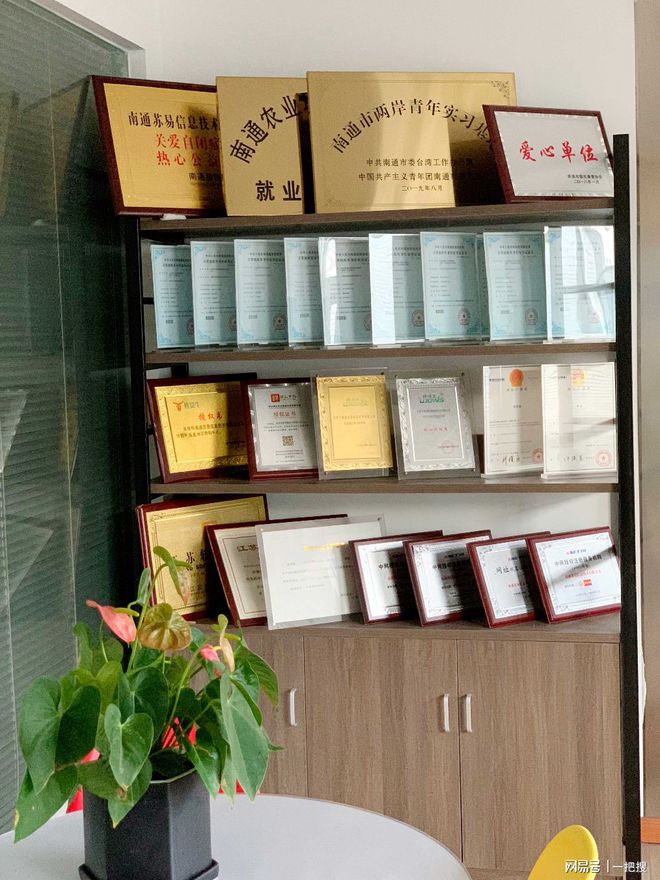南通网站建设的网络公司有Kaiyun 开云哪些(图2)