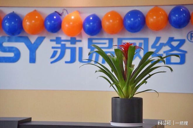 南通网站建设的网络公司有Kaiyun 开云哪些(图1)