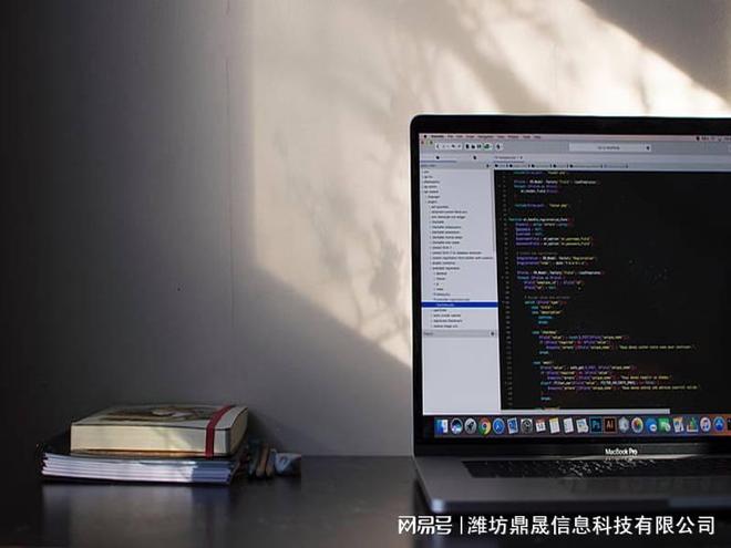 宣传展示型网站建开云体育 Kaiyun.com 官网入口设开发解决方案(图1)