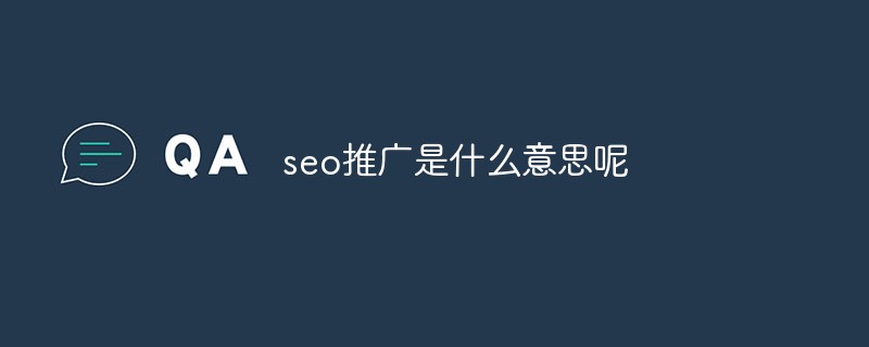 seo推广是什么Kaiyun 开云体育意思呢(图1)