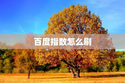 开云 开云体育官网为什么要刷百度指数？怎么快速刷？(图1)