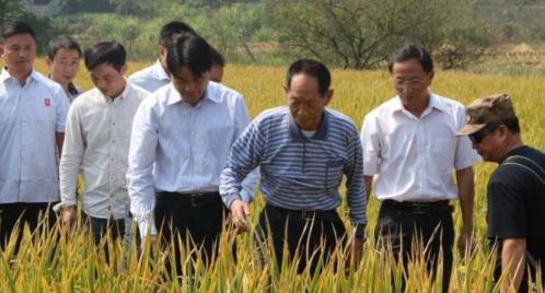 开云 开云体育官网袁隆平的贡献如此巨大为何没能当选中国科学院院士？(图5)