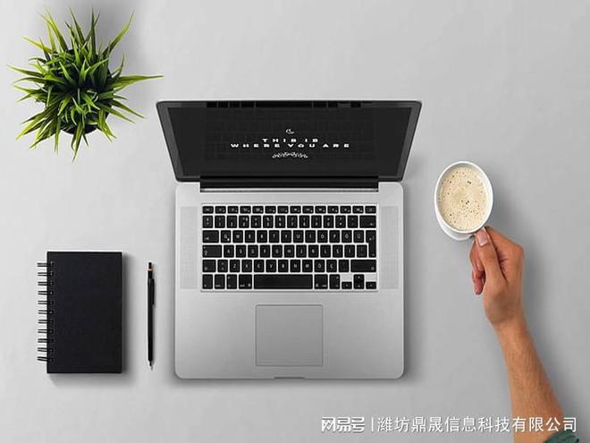 寿光专业的网站搜Kaiyun 开云索引擎排名seo优化公司哪个好(图1)