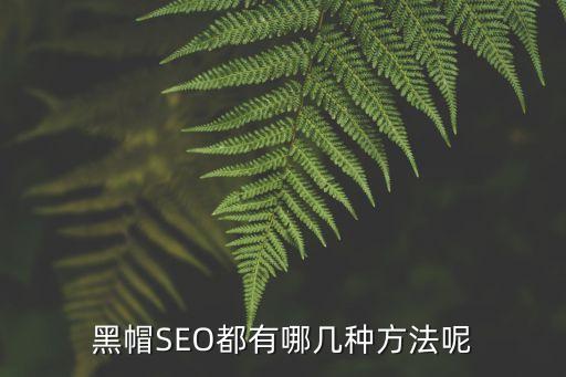 seo黑帽技术有哪些黑帽SEO都有哪Kaiyun 开云体育几种方法呢(图1)