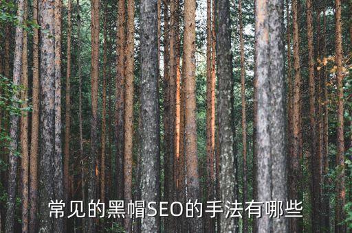 seo黑帽技术有哪些黑帽SEO都有哪Kaiyun 开云体育几种方法呢(图3)