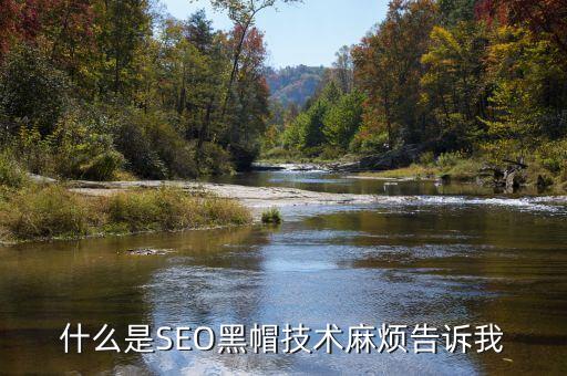seo黑帽技术有哪些黑帽SEO都有哪Kaiyun 开云体育几种方法呢(图2)