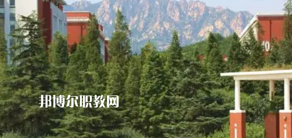开云体育 Kaiyun.com 官网入口青岛公办大专学校排名2023最新排行(图1)