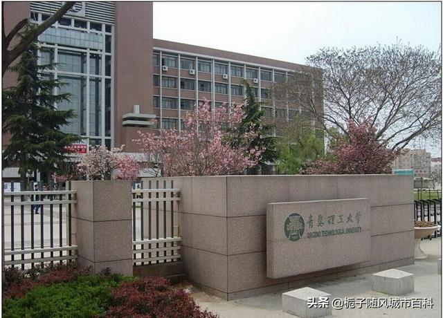 开云体育 Kaiyun.com 官网入口青岛市最好的10所大学排行榜(图8)
