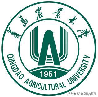 开云体育 Kaiyun.com 官网入口青岛市最好的10所大学排行榜(图9)