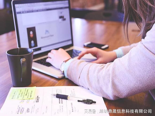 诸城市网站建设具体步骤开云体育 开云官网(图1)