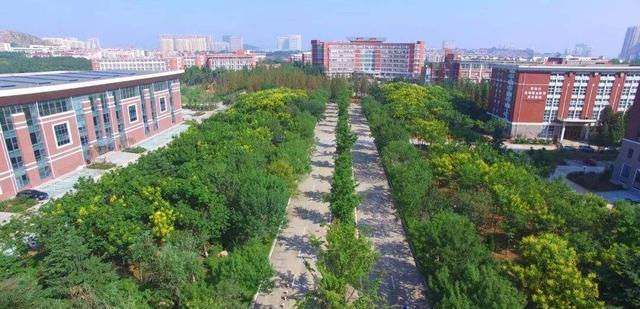 开云体育 开云官网山东的5所专科院校属于本省公办适合低分学生报考(图4)
