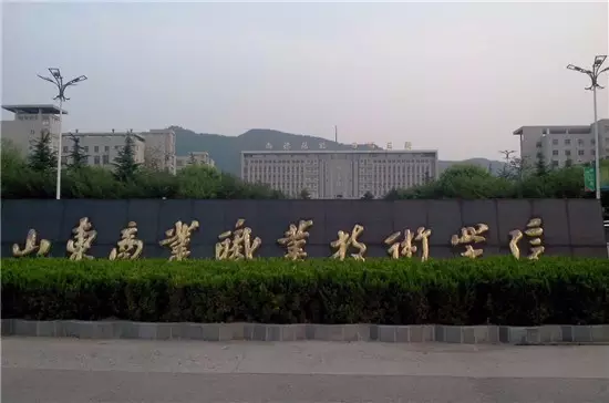 山东省实力最开云 开云体育官网强的专科院校(图2)