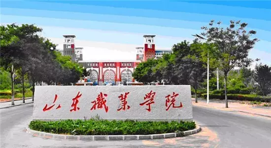 山东省实力最开云 开云体育官网强的专科院校(图8)