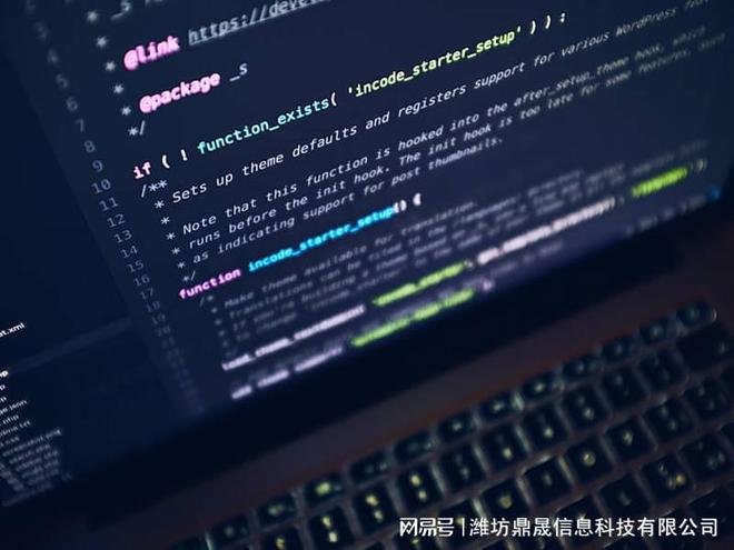 网站建设经费预算方案Kaiyun 开云体育(图1)
