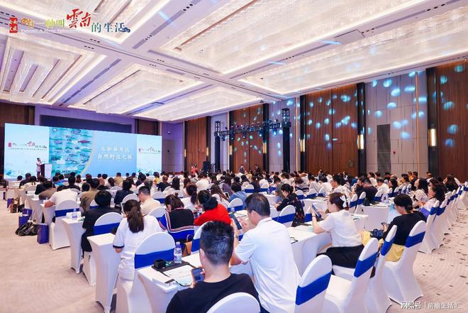 开云体育 Kaiyun.com 官网入口2024云南文化旅游宣传推广暨招商推介会在广州举办(图4)