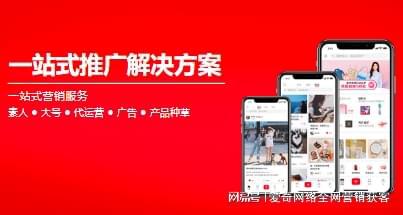 开云 开云体育平台如何进行网站的推广(图3)